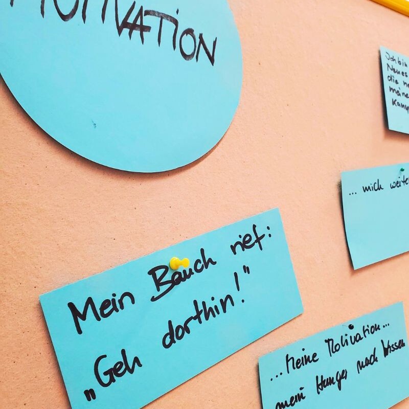 Eine Pinnwand mit Zetteln. Auf dem größten steht „Motivation“. Ein anderer Zettel trägt den Text: „Mein Bauch riet: ‚Geh dorthin!‘“.