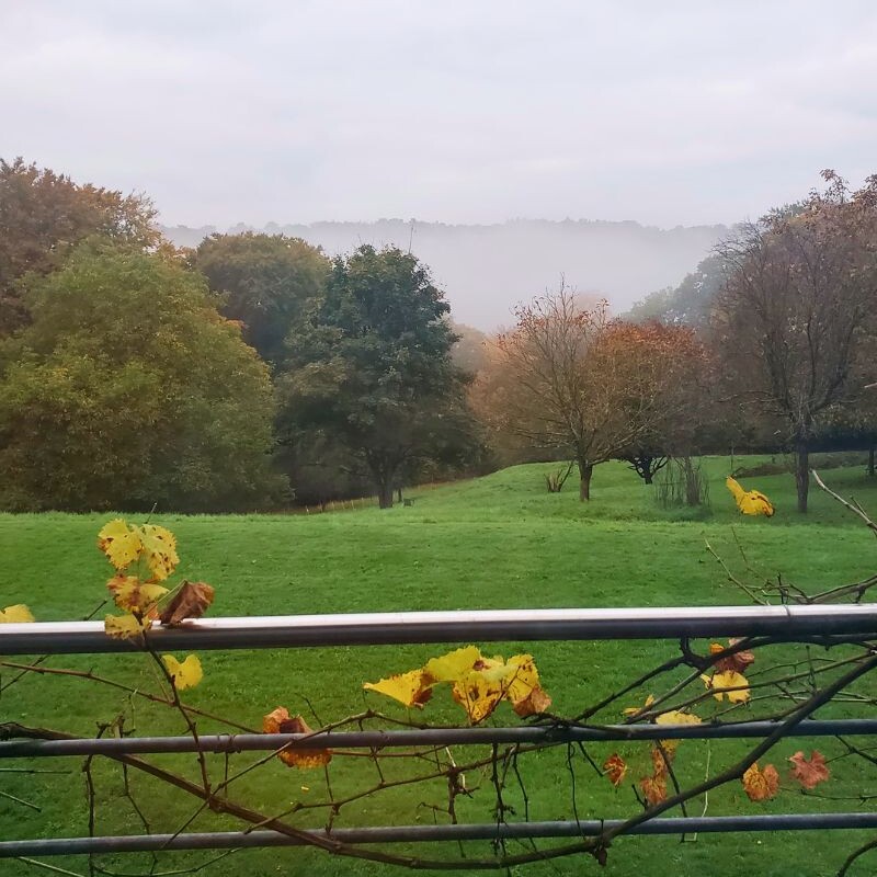 Blick von einem Balkon auf eine grüne Wiese mit Bäumen und Herbstlaub. Im Hintergrund sind Hügel im Nebel zu sehen.
